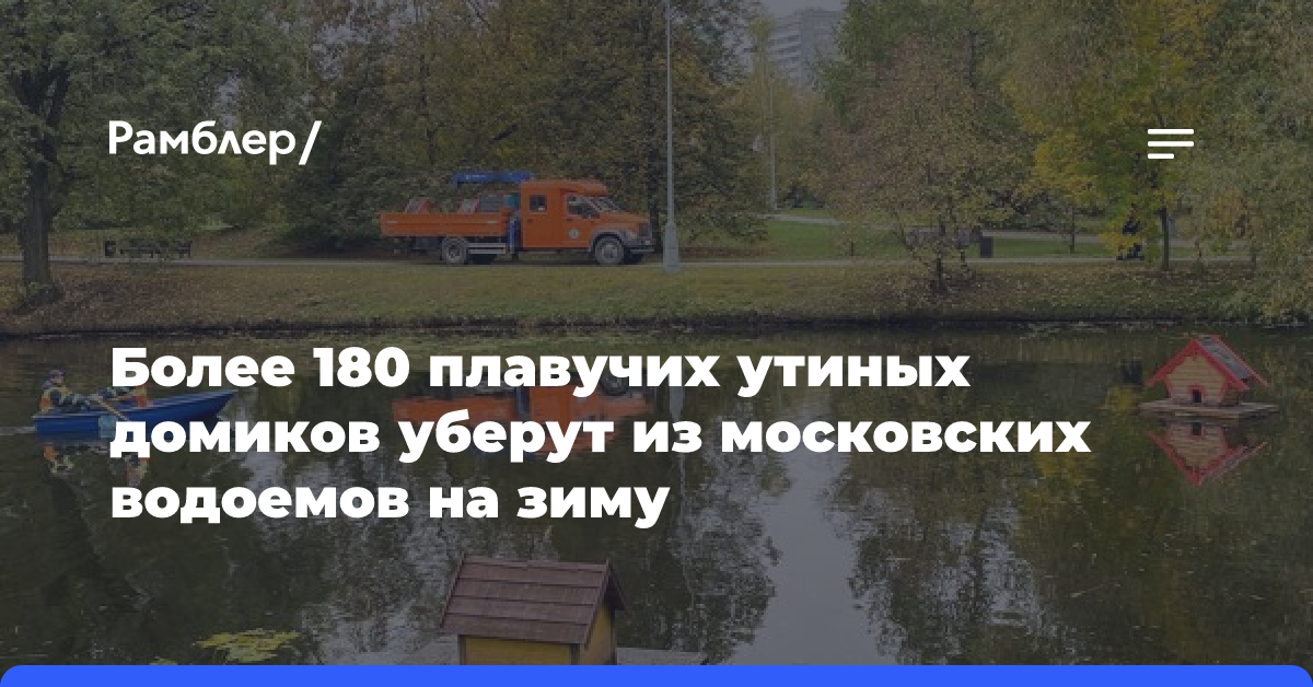 Зима близко: утиные домики убирают из городских водоемов