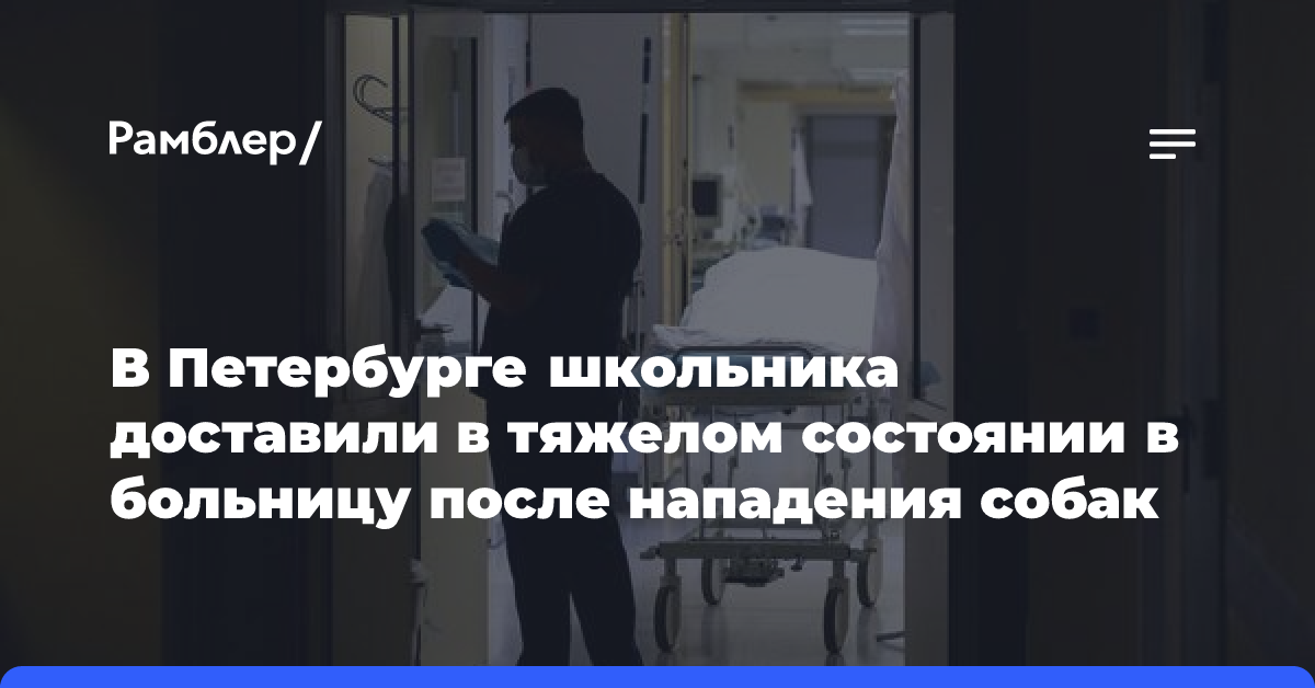 Пострадавшего при нападении в Петербурге перевели на амбулаторное лечение