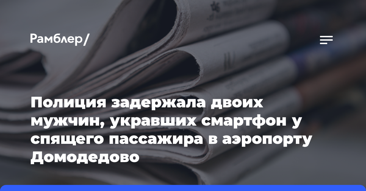 Полиция задержала двоих мужчин, укравших смартфон у спящего пассажира в аэропорту Домодедово