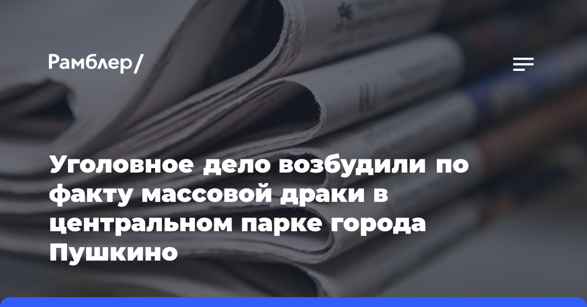 Уголовное дело возбудили по факту массовой драки в центральном парке города Пушкино