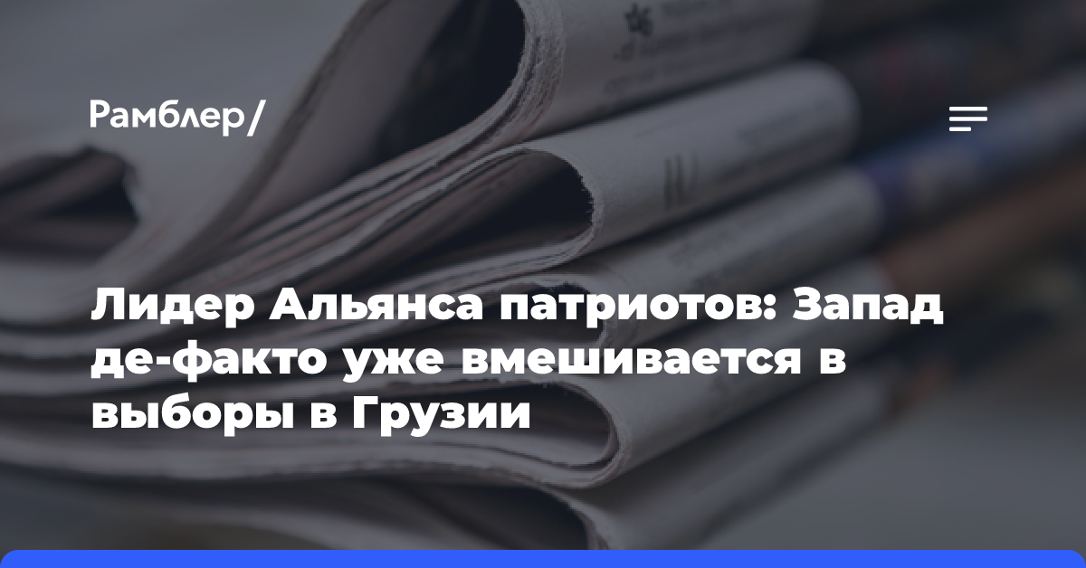 Лидер Альянса патриотов: Запад де-факто уже вмешивается в выборы в Грузии