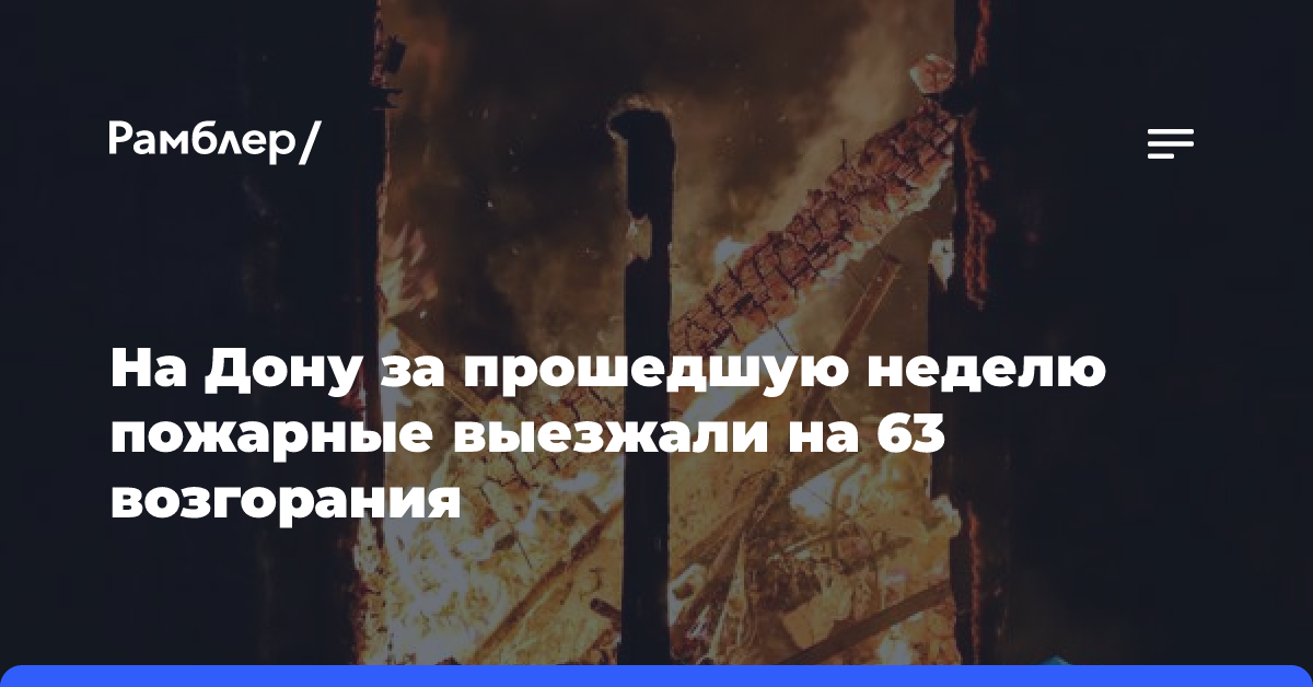 На Дону за прошедшую неделю пожарные выезжали на 63 возгорания