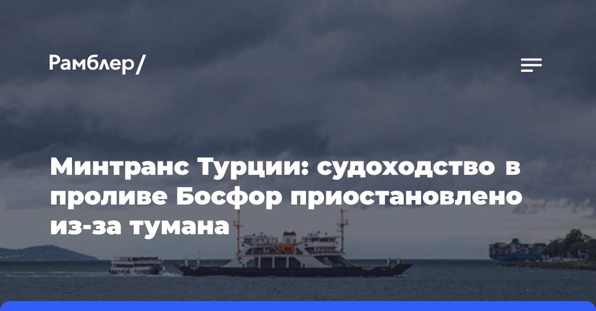 Минтранс Турции: судоходство в проливе Босфор приостановлено из-за тумана