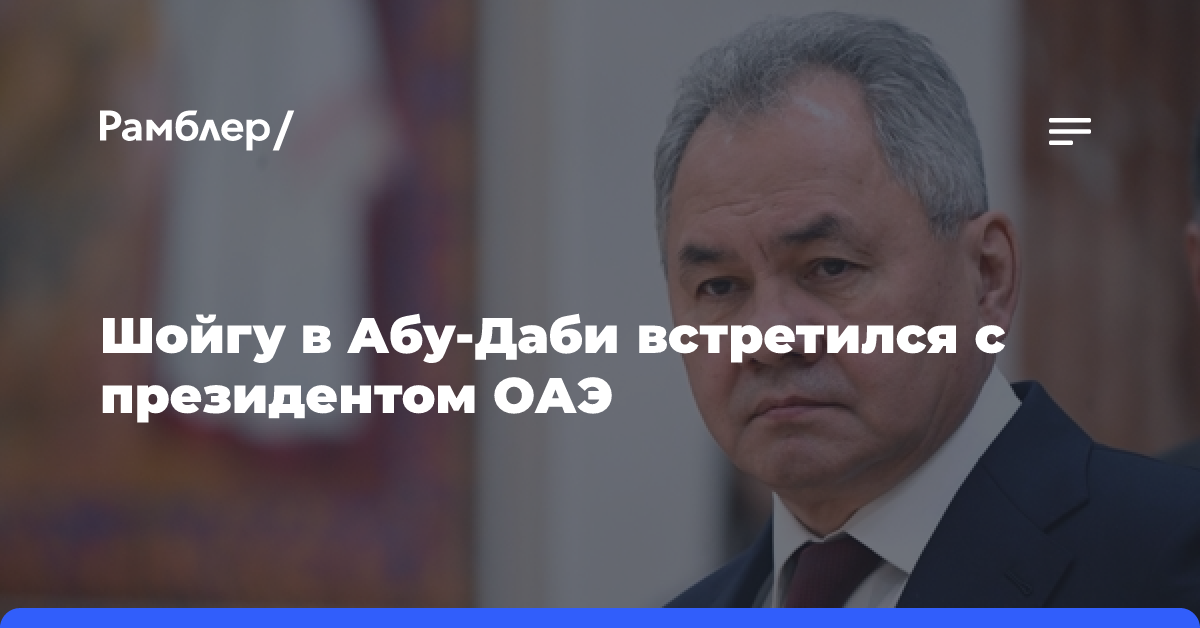 Шойгу в Абу-Даби встретился с президентом ОАЭ