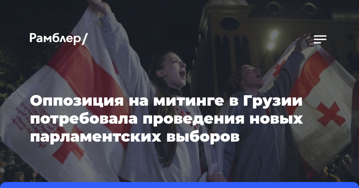 Грузинская оппозиция на митинге требует проведения новых парламентских выборов