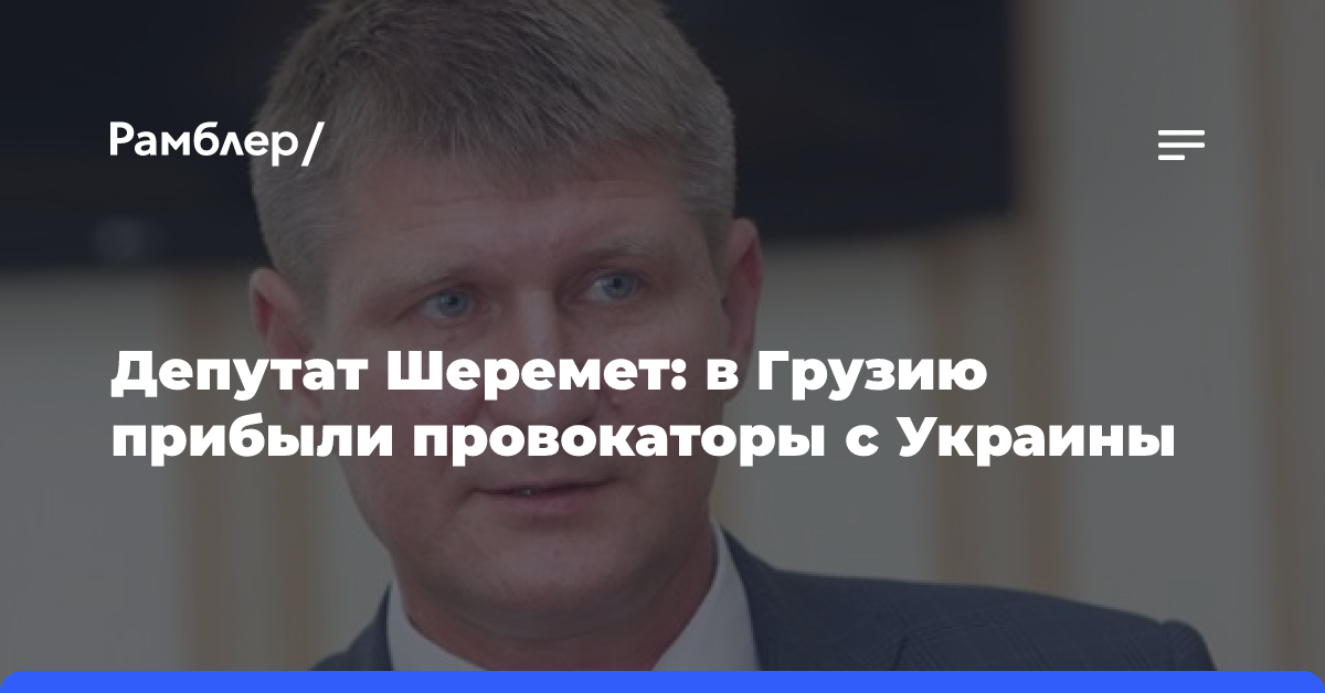 Депутат Шеремет: в Грузию прибыли провокаторы с Украины