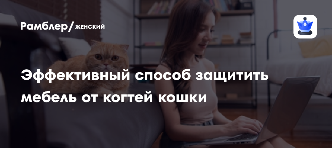 Назван эффективный способ защитить мебель от когтей кошки - Рамблер/женский