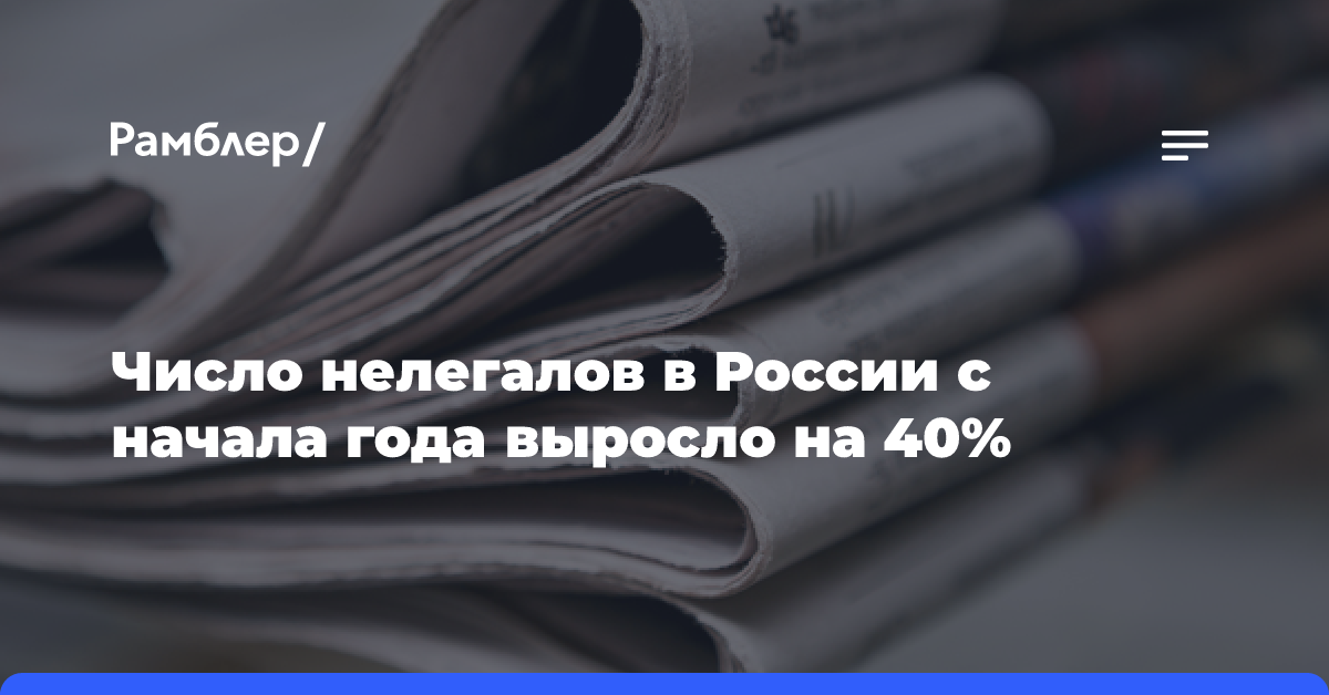 Число нелегалов в России с начала года выросло на 40%