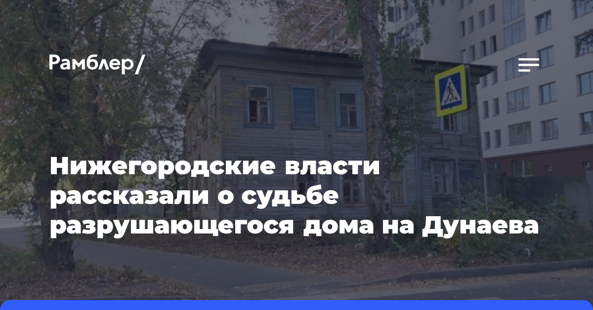 Нижегородцы бьют тревогу из-за сноса дома с щенками на улице Давыдова