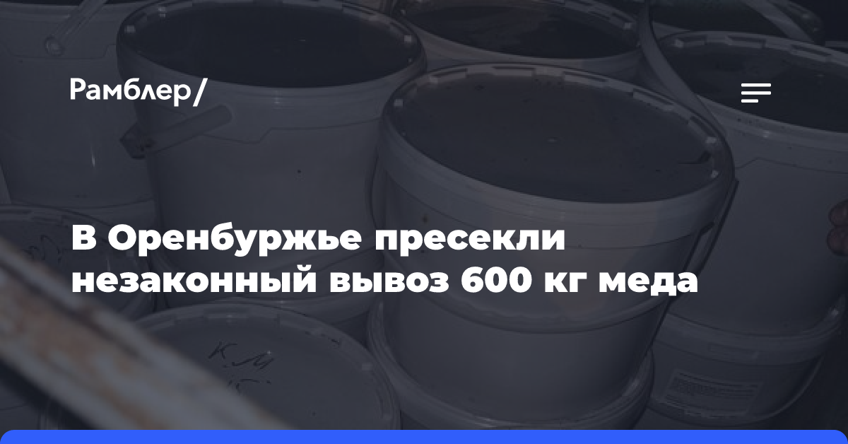 В Оренбуржье пресекли незаконный вывоз 600 кг меда