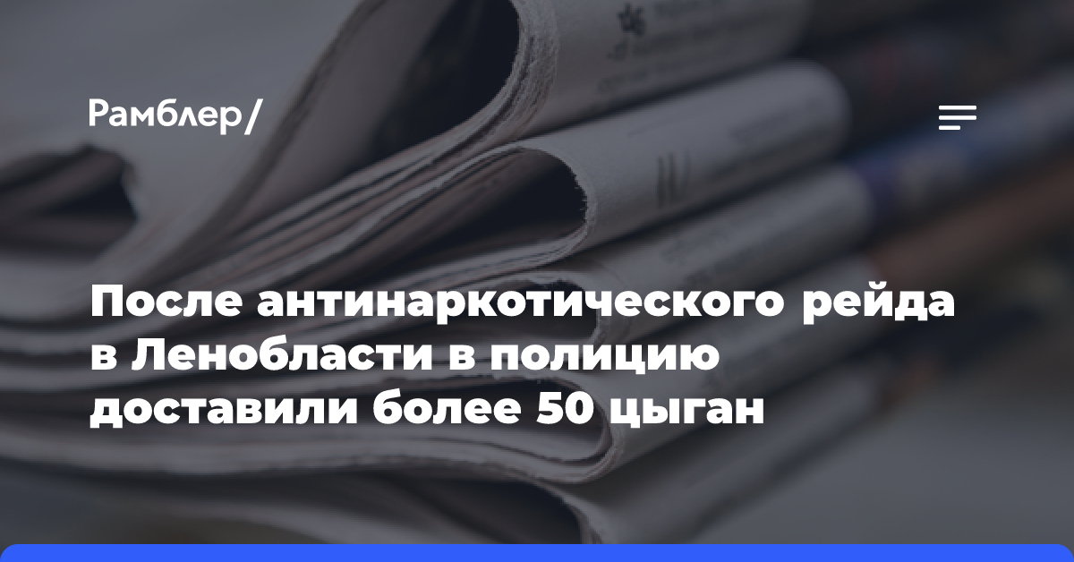 После антинаркотического рейда в Ленобласти в полицию доставили более 50 цыган