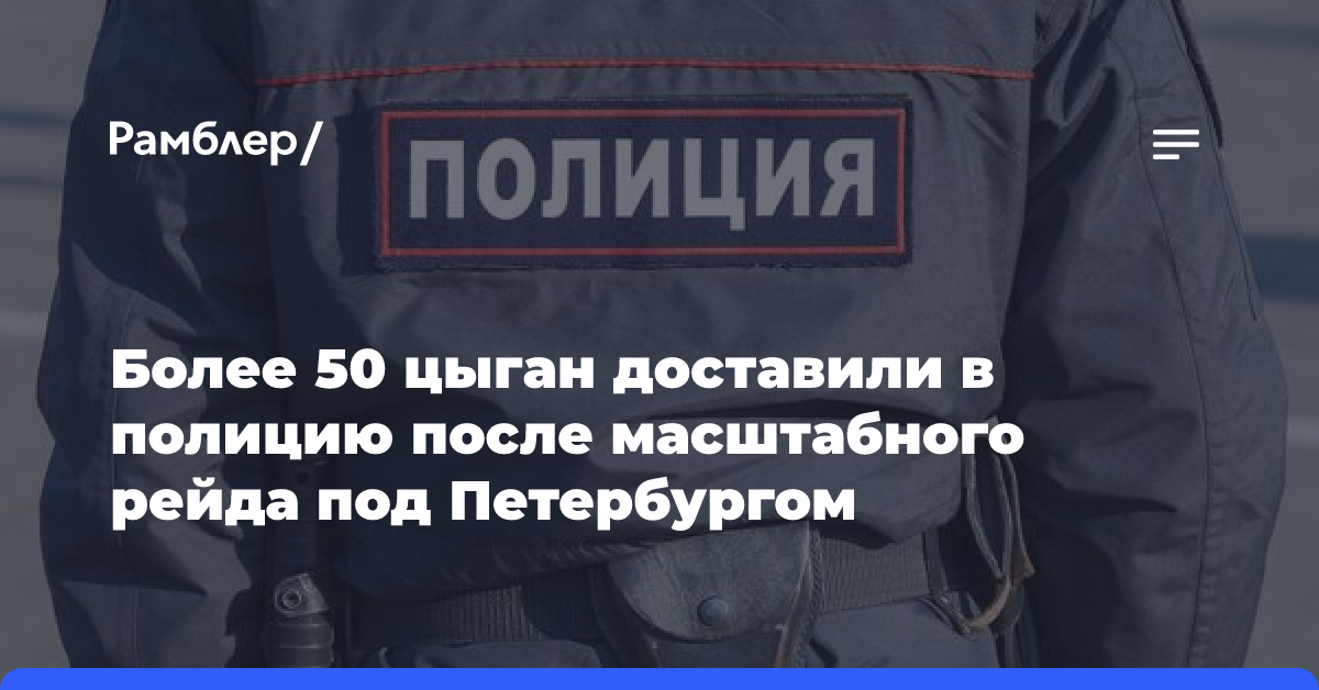 Более 50 цыган доставили в полицию после масштабного рейда под Петербургом