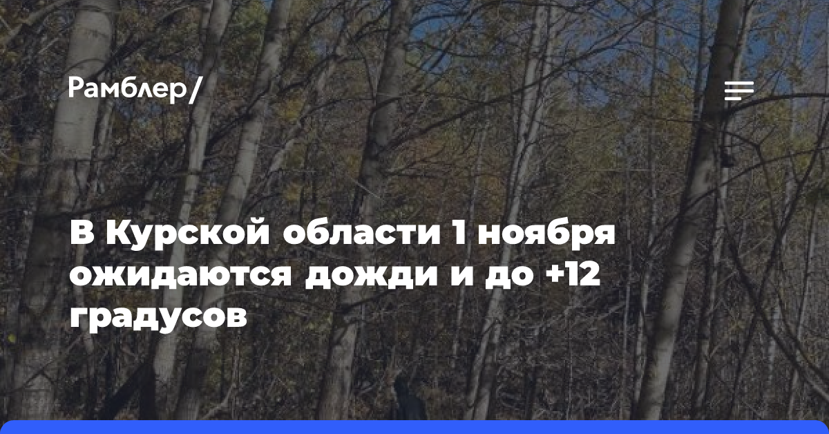 В Курской области 1 ноября ожидаются дожди и до +12 градусов