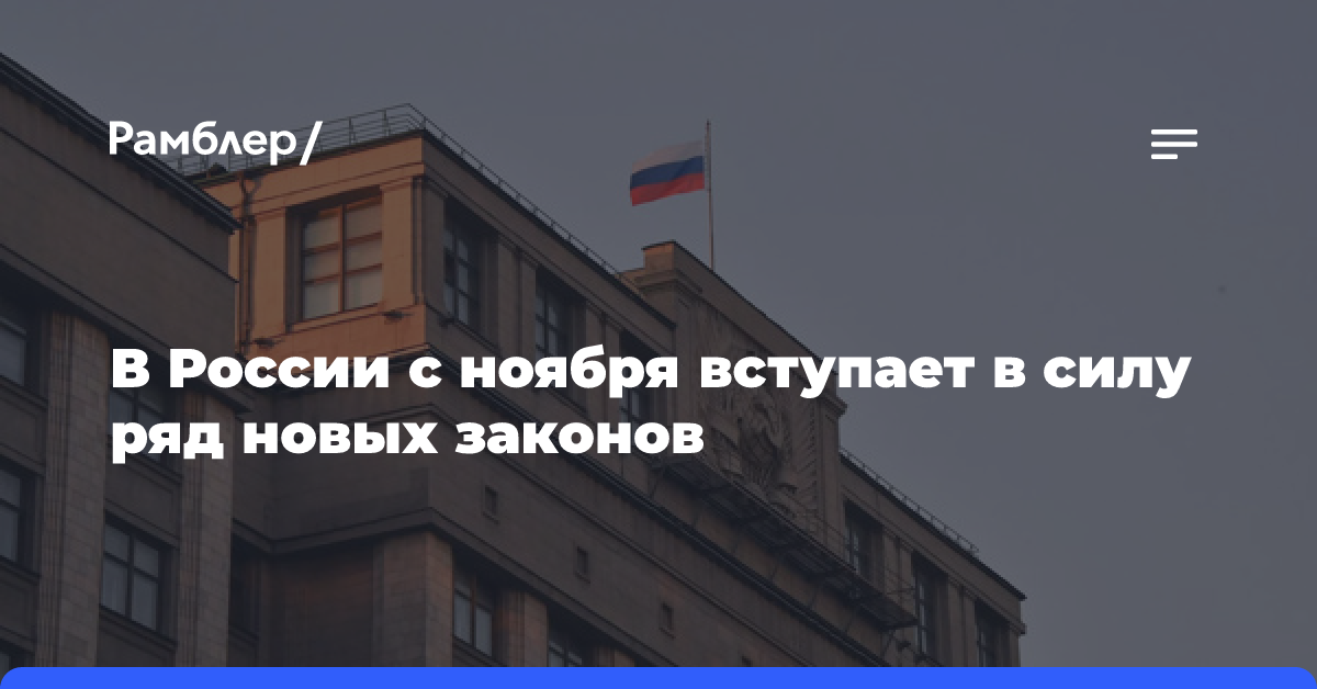 В России с ноября вступает в силу ряд новых законов