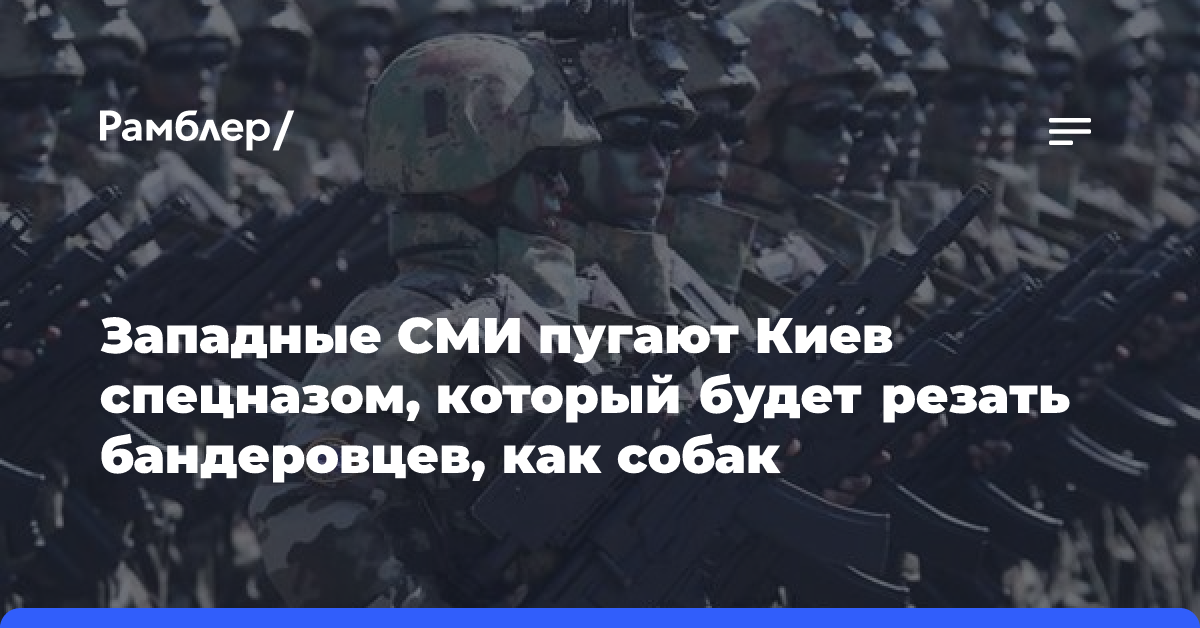 Западные СМИ пугают Киев спецназом, который будет резать бандеровцев, как собак