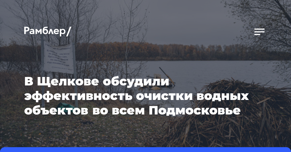 В Щелкове обсудили эффективность очистки водных объектов во всем Подмосковье