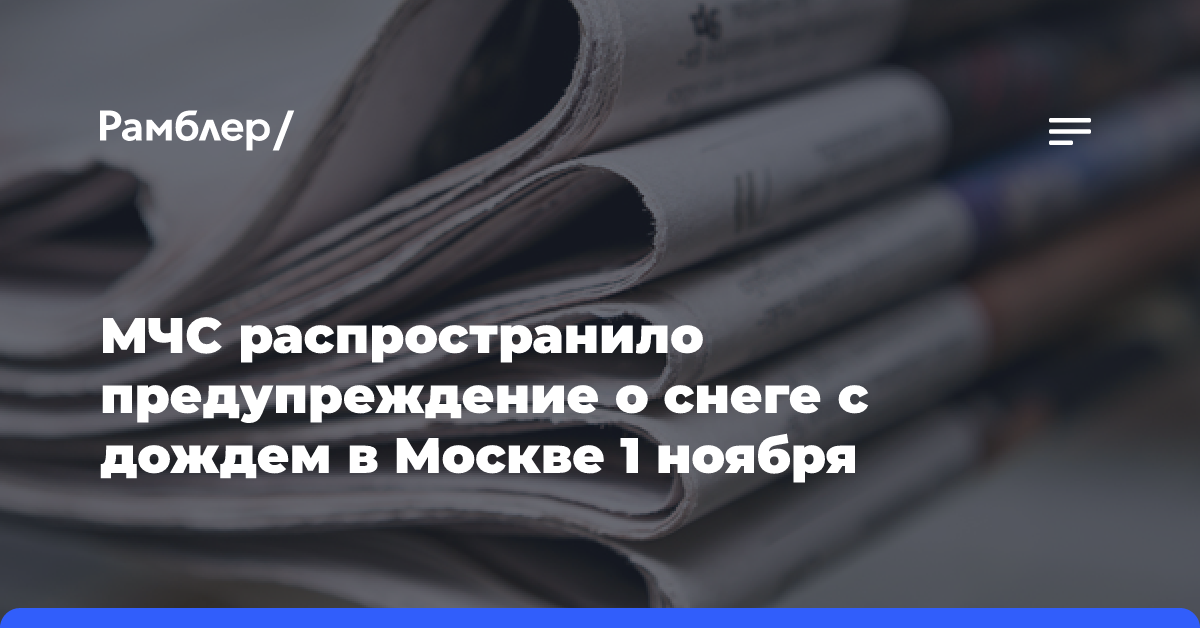 МЧС распространило предупреждение о снеге с дождем в Москве 1 ноября