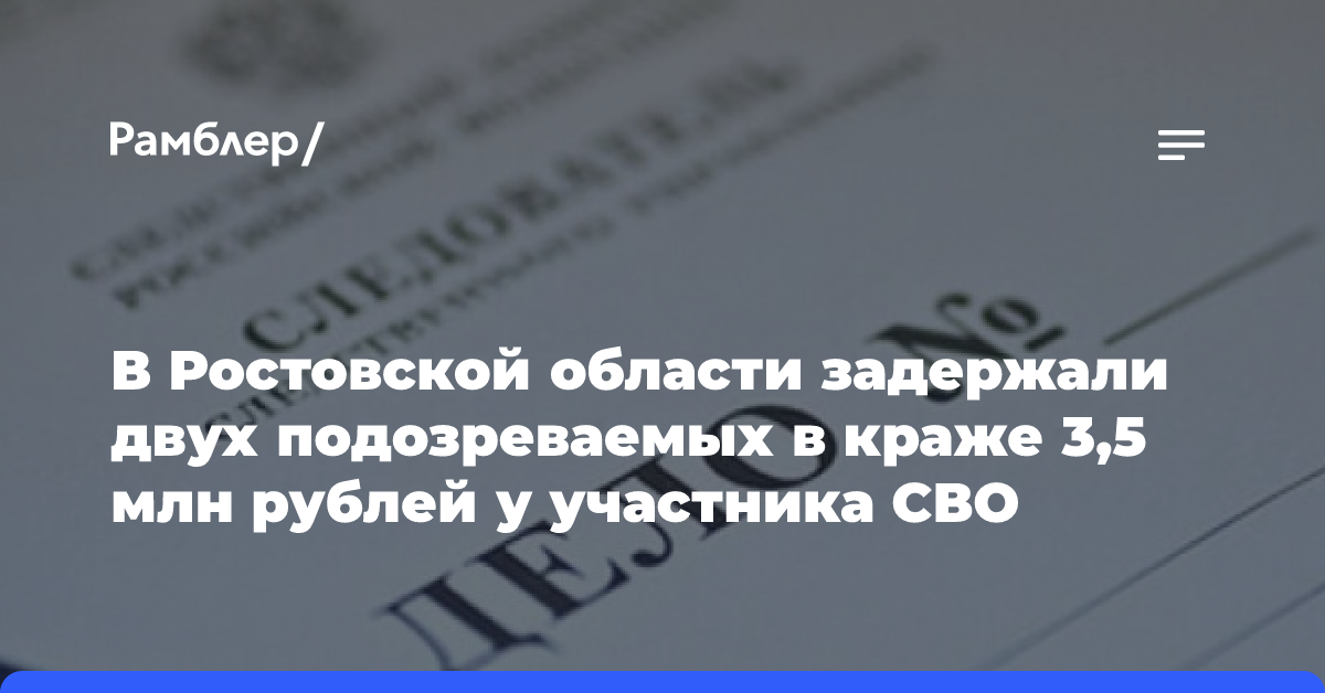 В Ростовской области задержали двух подозреваемых в краже 3,5 млн рублей у участника СВО