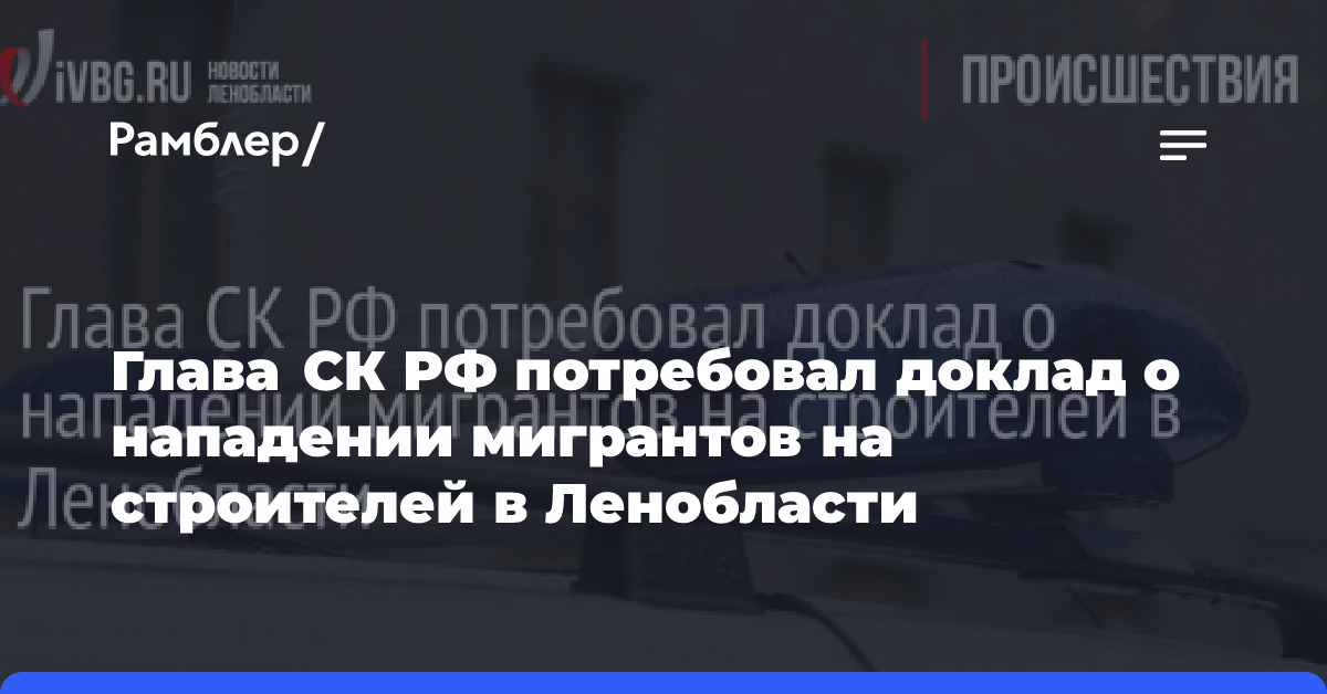 Глава СК РФ потребовал доклад о нападении мигрантов на строителей в Ленобласти