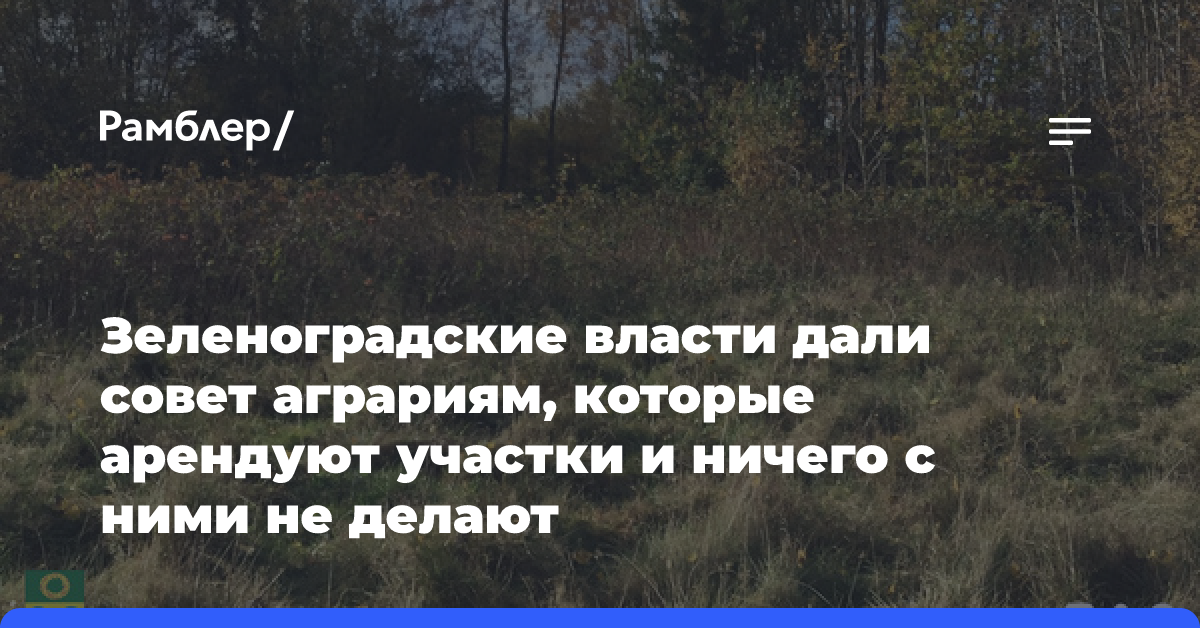 Зеленоградские власти дали совет аграриям, которые арендуют участки и ничего с ними не делают