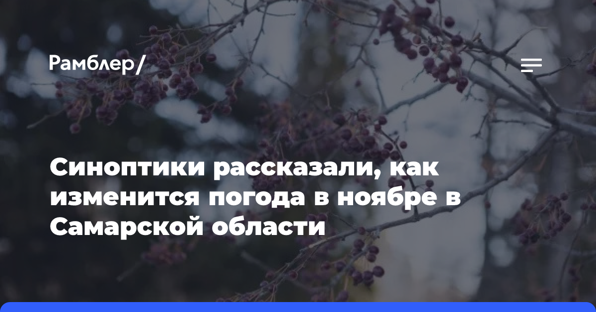 Синоптики рассказали, как изменится погода в ноябре в Самарской области