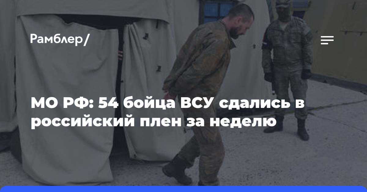 МО: 54 бойцов ВСУ сдались в российский плен за неделю