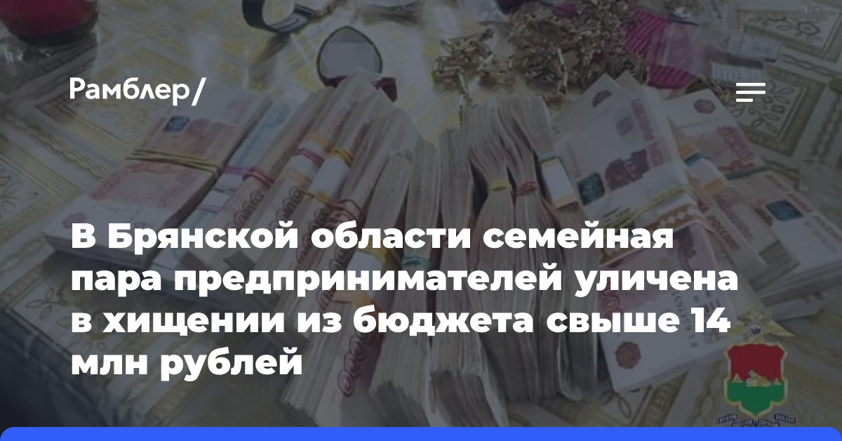 В Брянской области семейная пара предпринимателей уличена в хищении из бюджета свыше 14 млн рублей