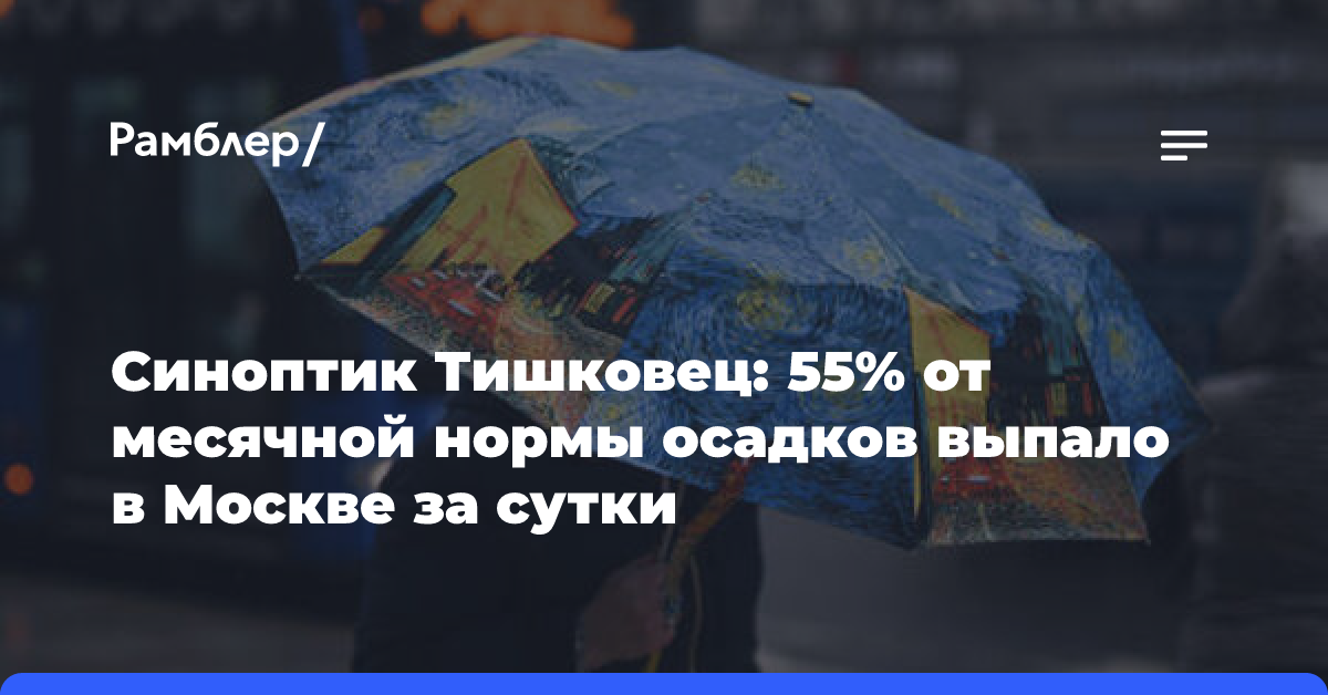 Синоптик Тишковец: в Москве за сутки выпало 55% от месячной нормы осадков