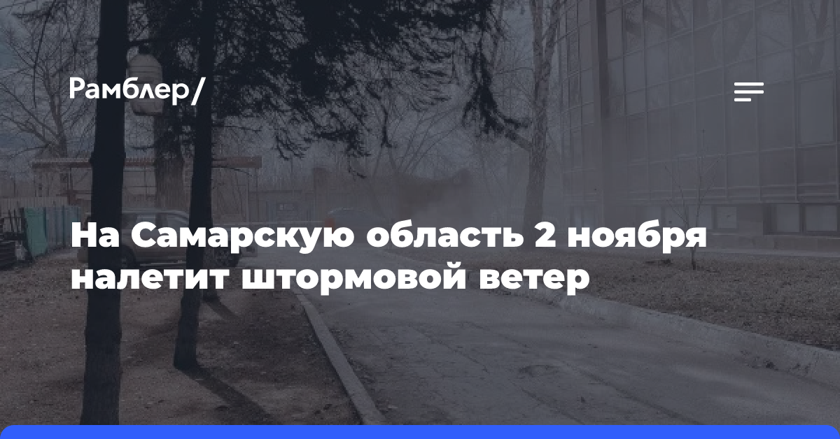 На Самарскую области 2 ноября налетит штормовой ветер