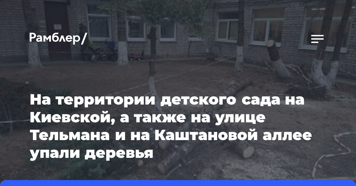 На территории детского сада на Киевской, а также на улице Тельмана и на Каштановой аллее упали деревья