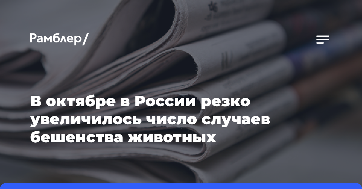 В октябре в России резко увеличилось число случаев бешенства животных