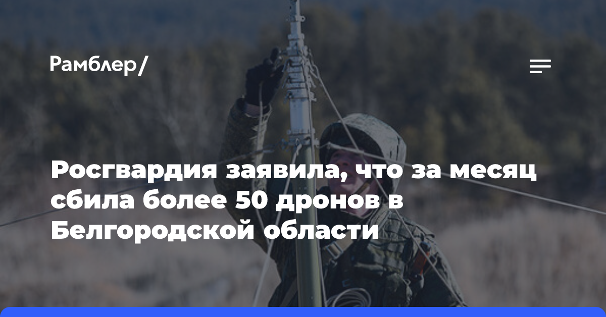 Росгвардия заявила, что за месяц сбила более 50 дронов в Белгородской области