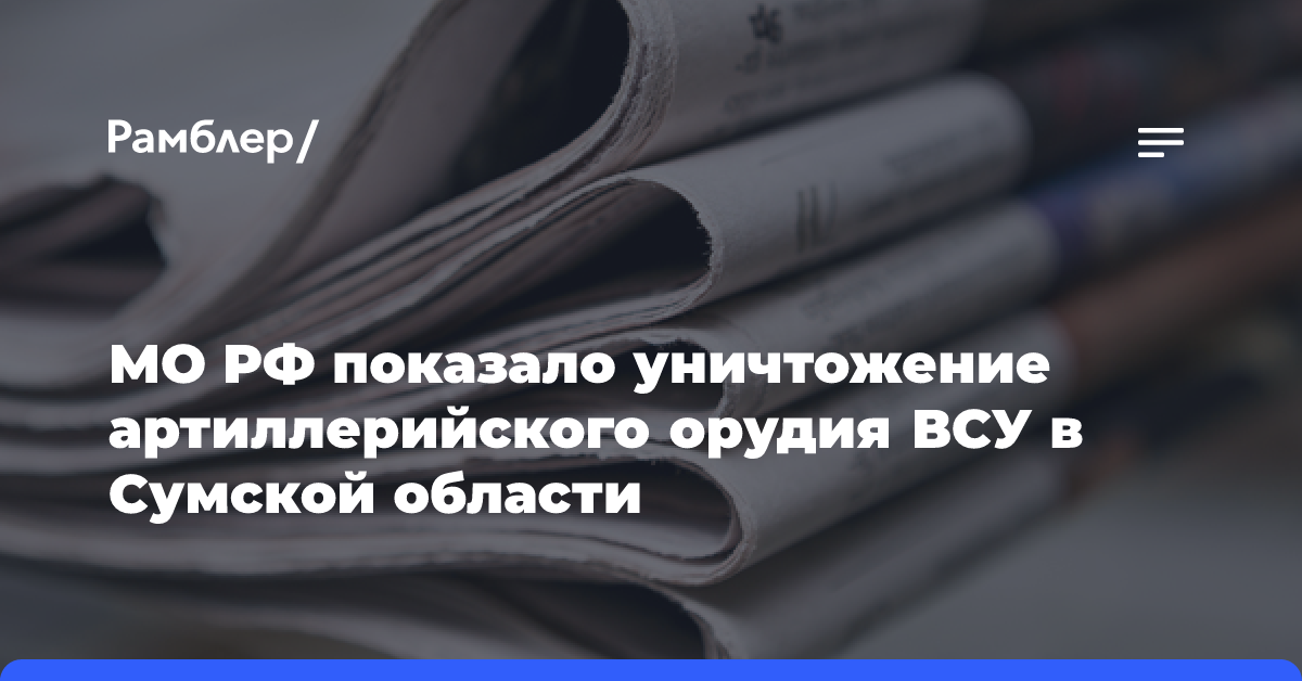 МО РФ показало уничтожение артиллерийского орудия ВСУ в Сумской области