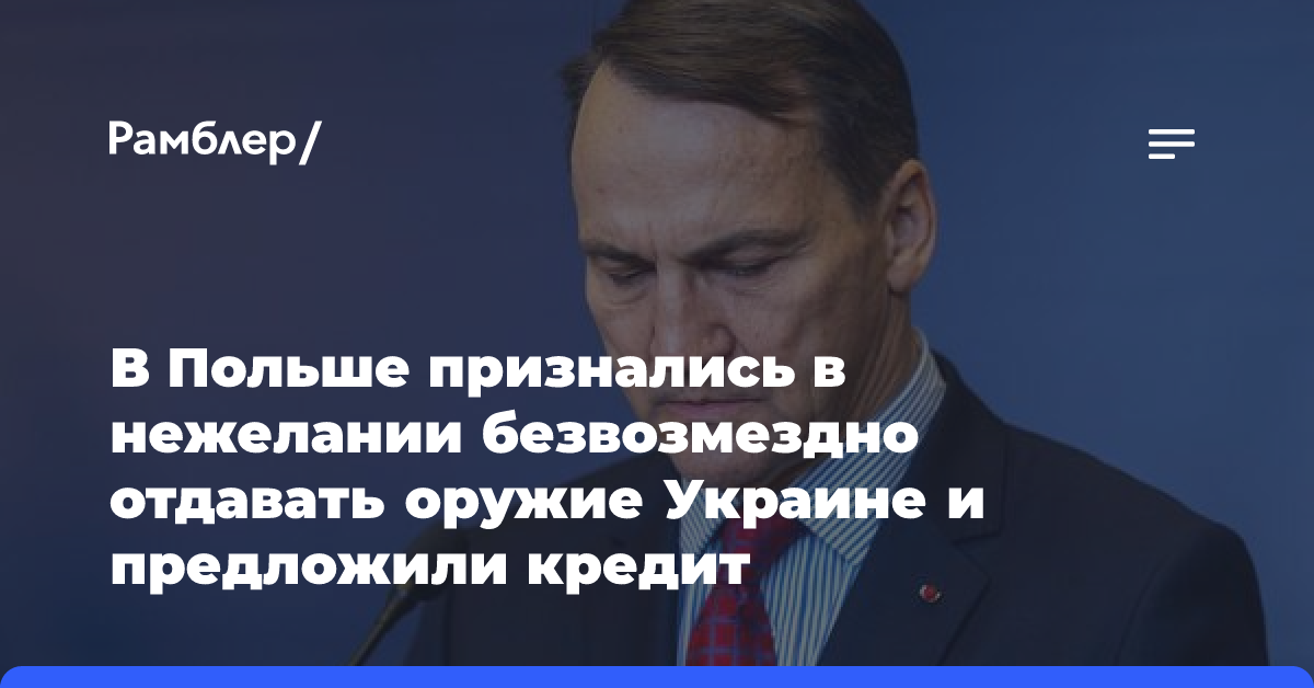 Сикорский призвал Украину покупать вооружение на польских заводах в кредит