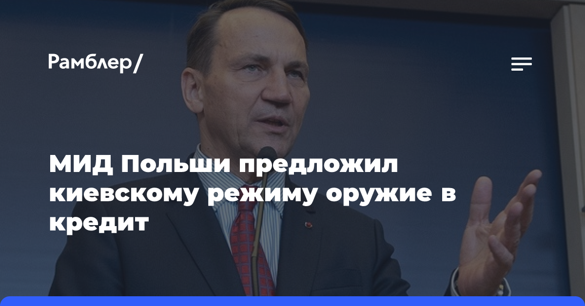 МИД Польши предложил киевскому режиму оружие в кредит