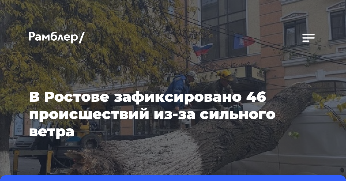 В Ростове зафиксировано 46 происшествий из-за сильного ветра