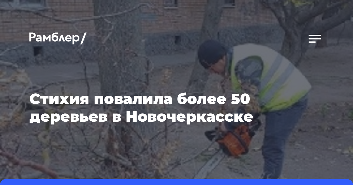 Стихия повалила более 50 деревьев в Новочеркасске