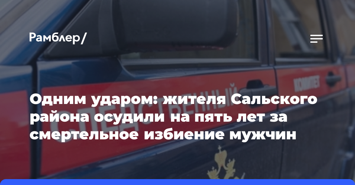 Одним ударом: жителя Сальского района осудили на пять лет за смертельное избиение мужчины