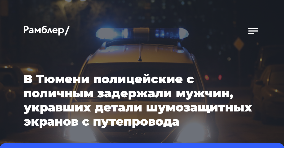 В Тюмени полицейские с поличным задержали мужчин, укравших детали шумозащитных экранов с путепровода