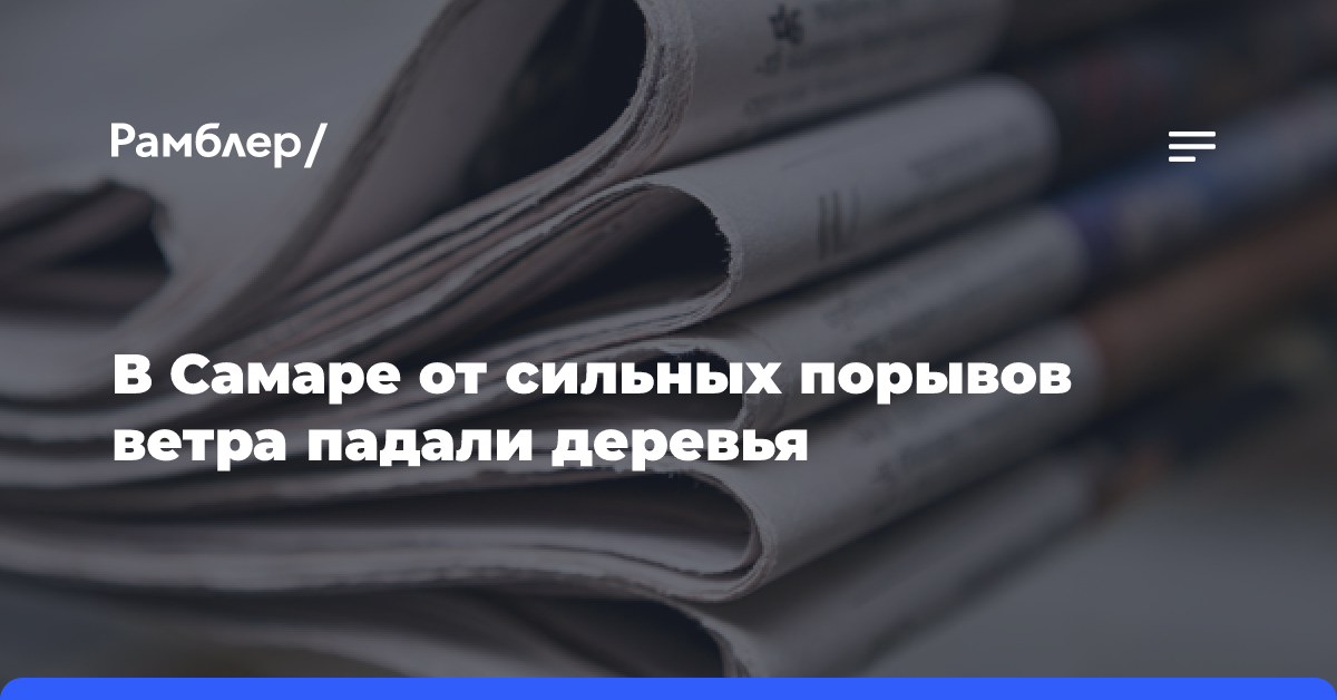 В Самаре от сильных порывов ветра падали деревья