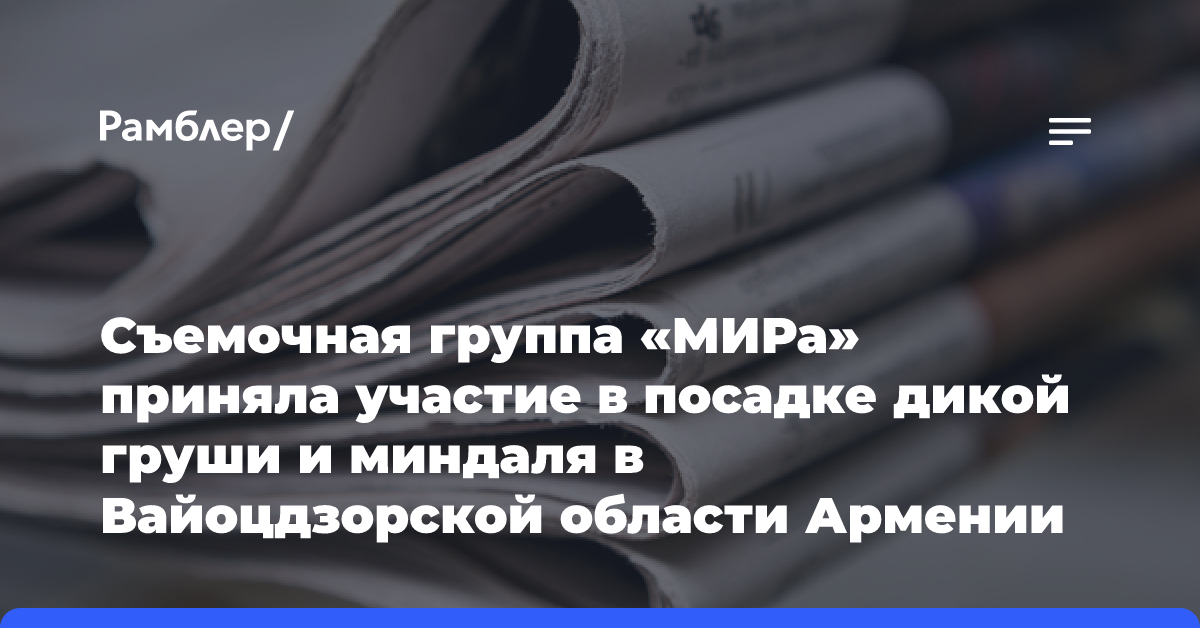 Съемочная группа «МИРа» приняла участие в посадке дикой груши и миндаля в Вайоцдзорской области Армении