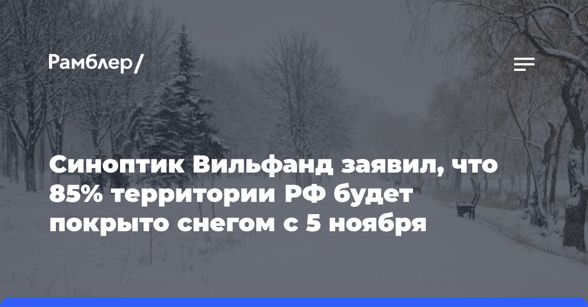 Синоптик Вильфанд заявил, что 85% территории РФ будет покрыто снегом с 5 ноября