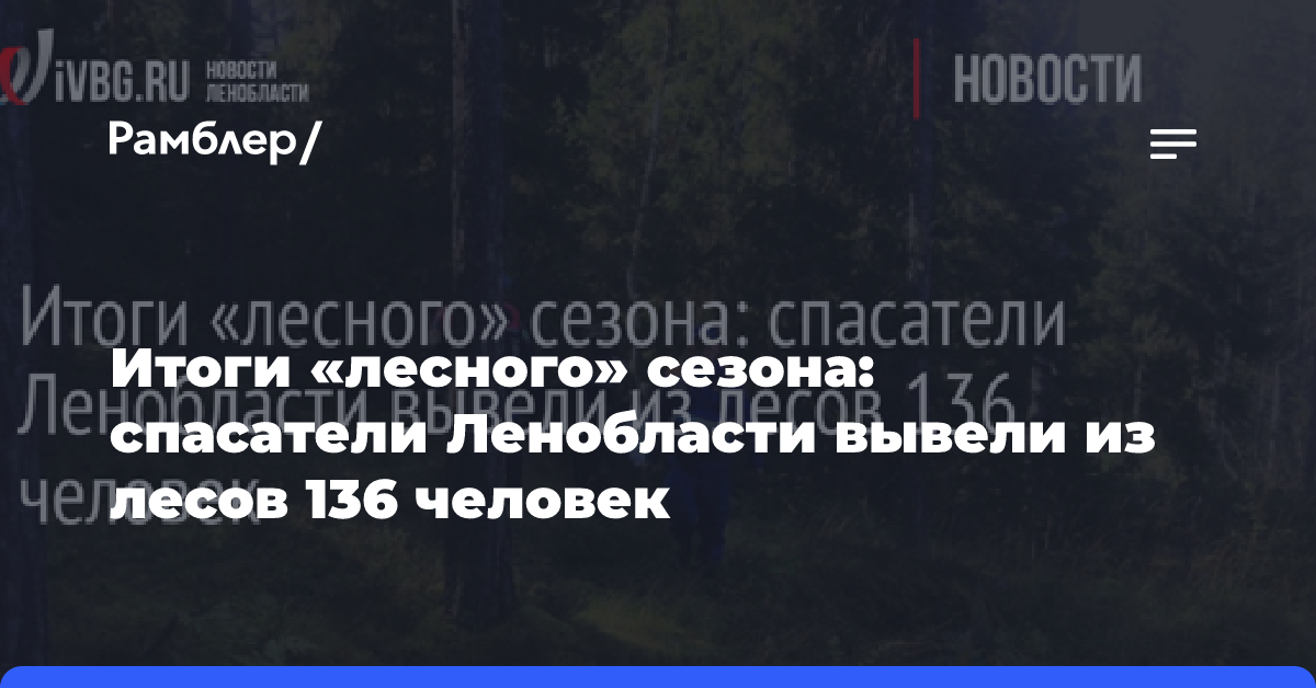 Итоги «лесного» сезона: спасатели Ленобласти вывели из лесов 136 человек