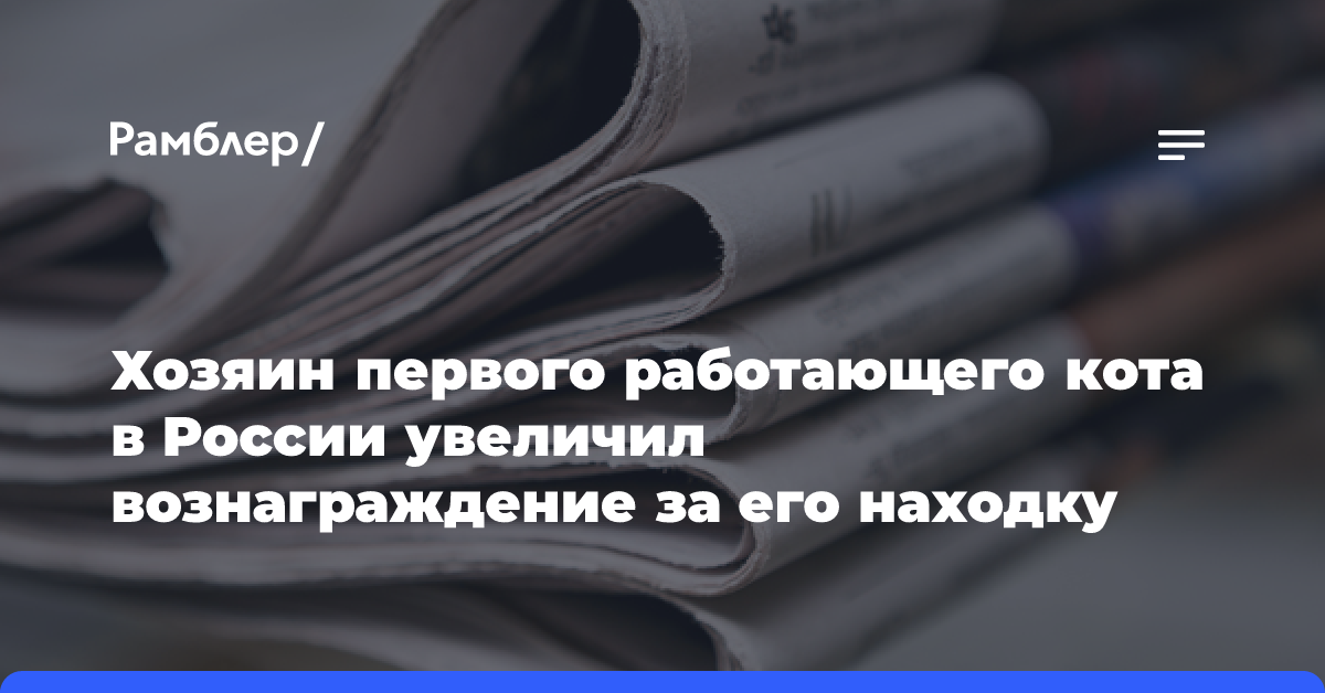 Хозяин первого работающего кота в России увеличил вознаграждение за его находку