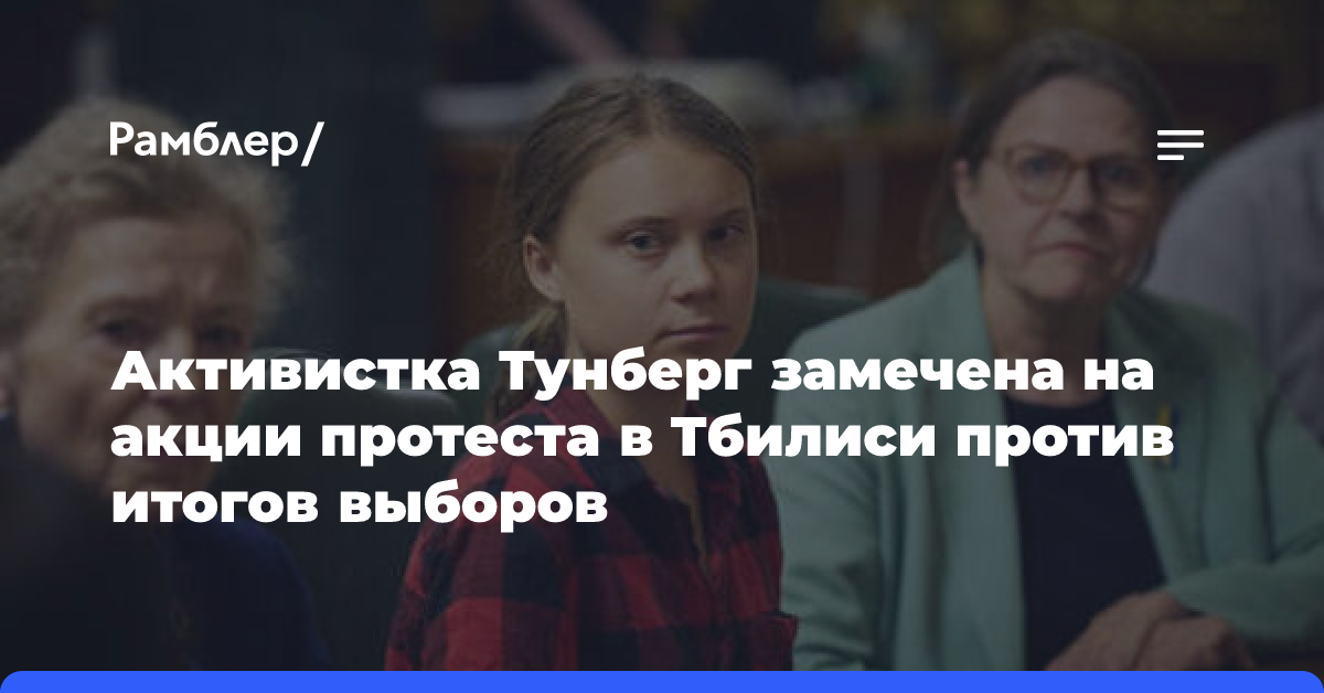 Активистка Тунберг замечена на акции протеста в Тбилиси против итогов выборов