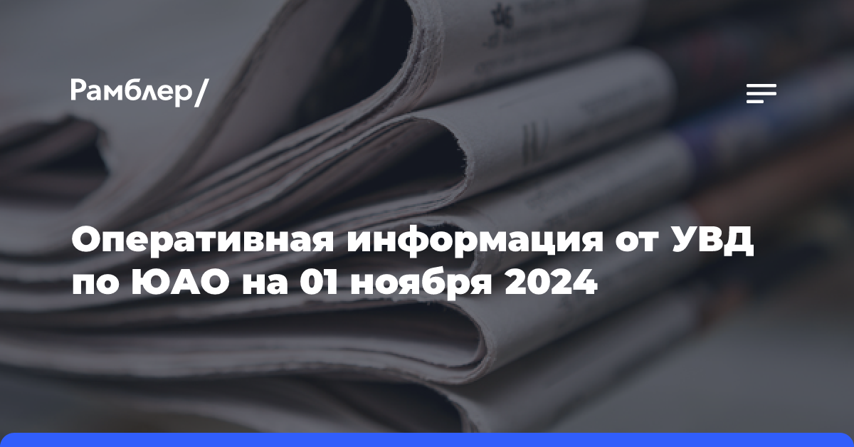 Оперативная информация от УВД по ЮАО на 01 ноября 2024