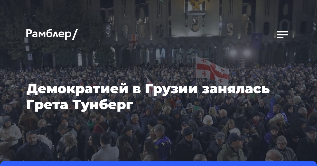 Демократией в Грузии занялась Грета Тунберг