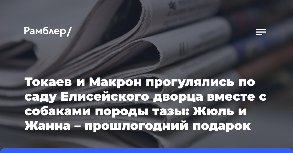 Токаев и Макрон прогулялись по саду Елисейского дворца вместе с собаками породы тазы: Жюль и Жанна — прошлогодний подарок казахстанского…