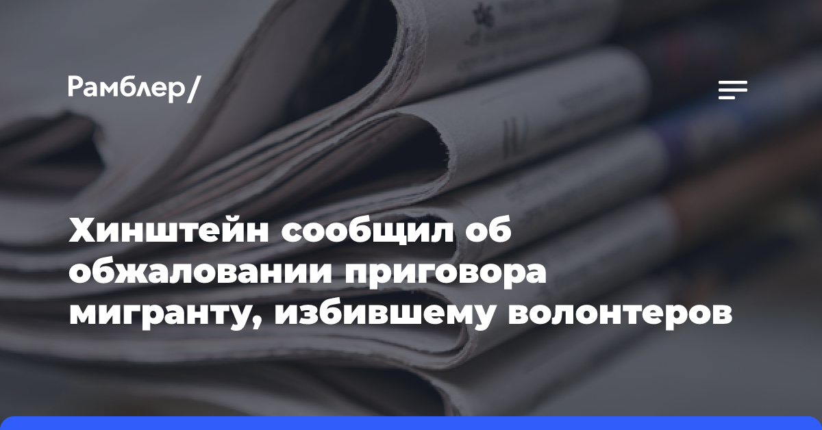 Хинштейн сообщил об обжаловании приговора мигранту, избившему волонтеров