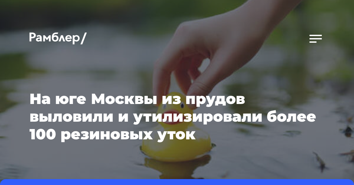 На юге Москвы из прудов выловили и утилизировали более 100 резиновых уток